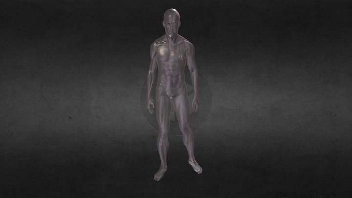 men body 3D Model