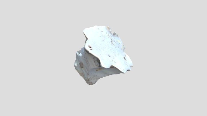 StoneCore_tex 3D Model