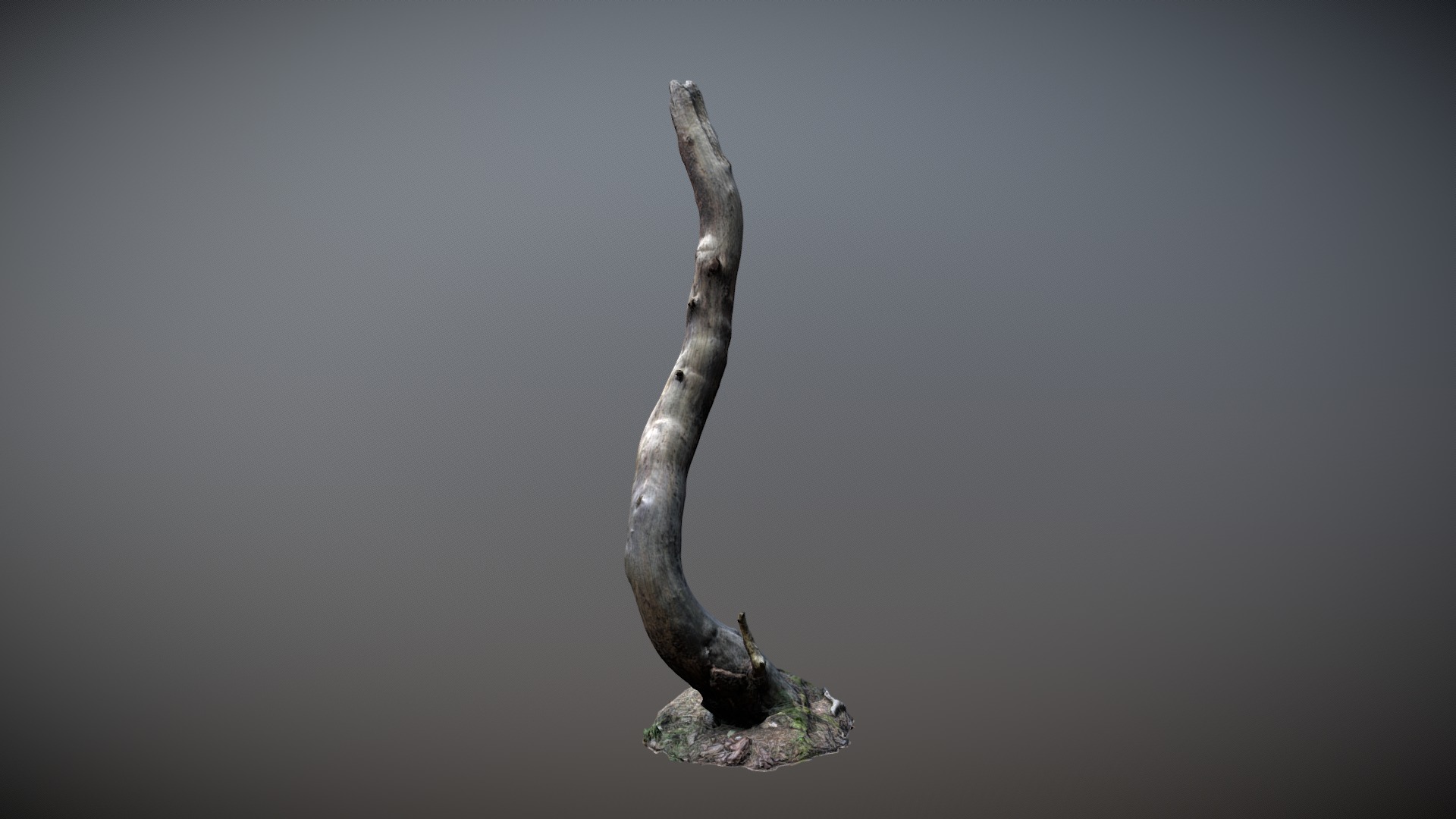 3D model Nature Forest Roots 008 - This is a 3D model of the Nature Forest Roots 008. The 3D model is about a tree stump with a stem.