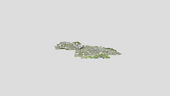 Rocky Glade