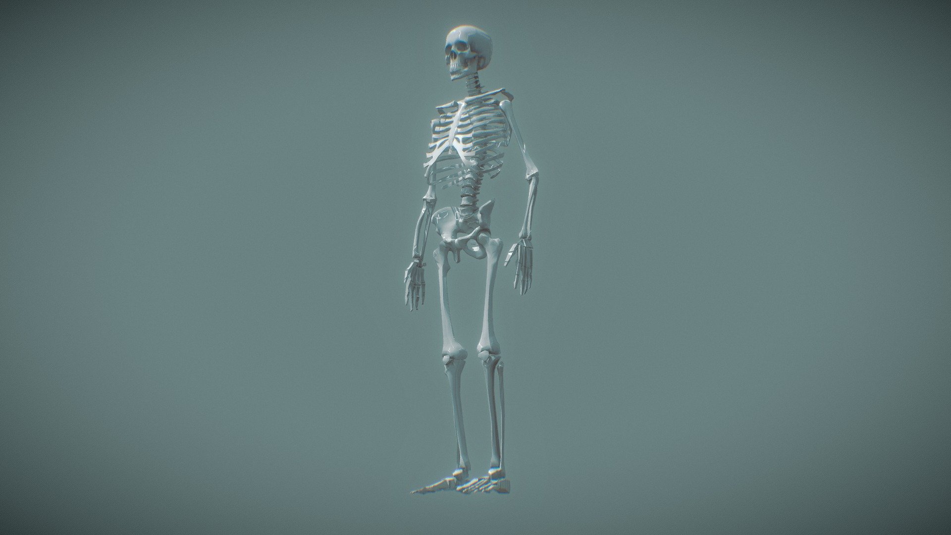 Skeleton 2 0 600m