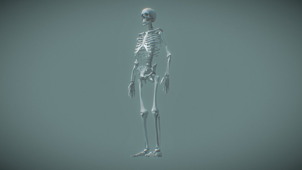 skeleton
