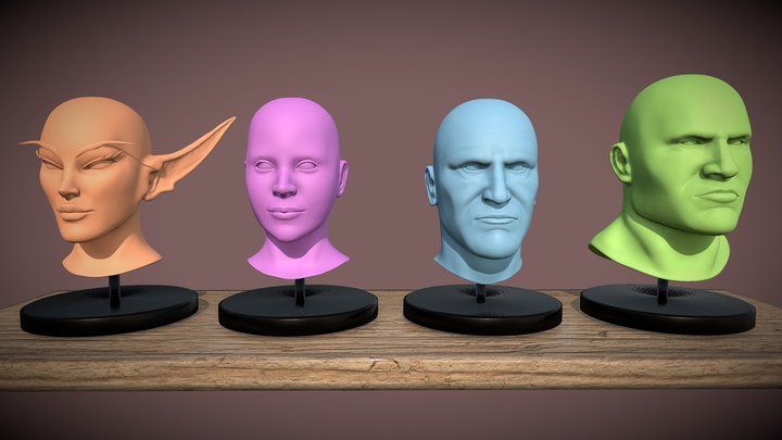 Head Sculpts #1 - A Dive into Facial Anatomy 3D Model