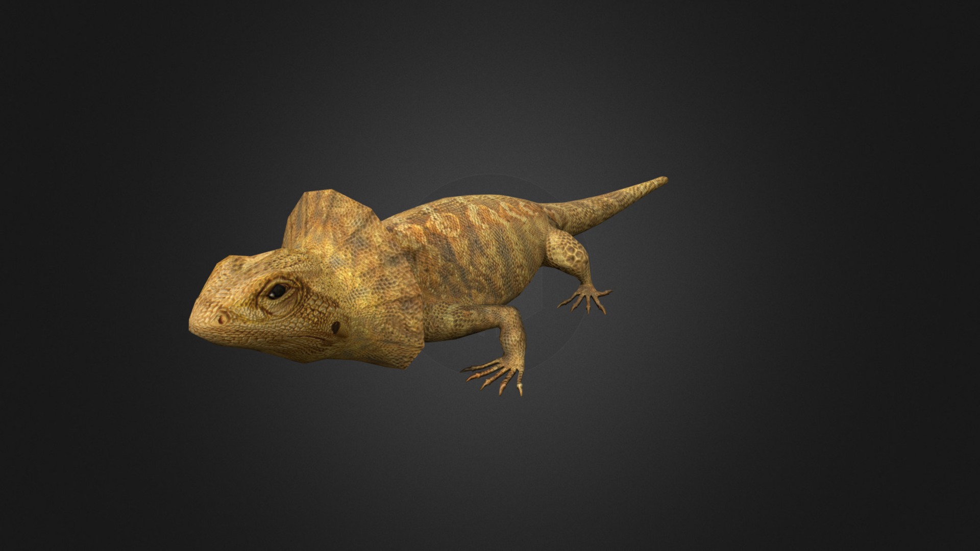 3D model Agama - This is a 3D model of the Agama. The 3D model is about a lizard on a black background.