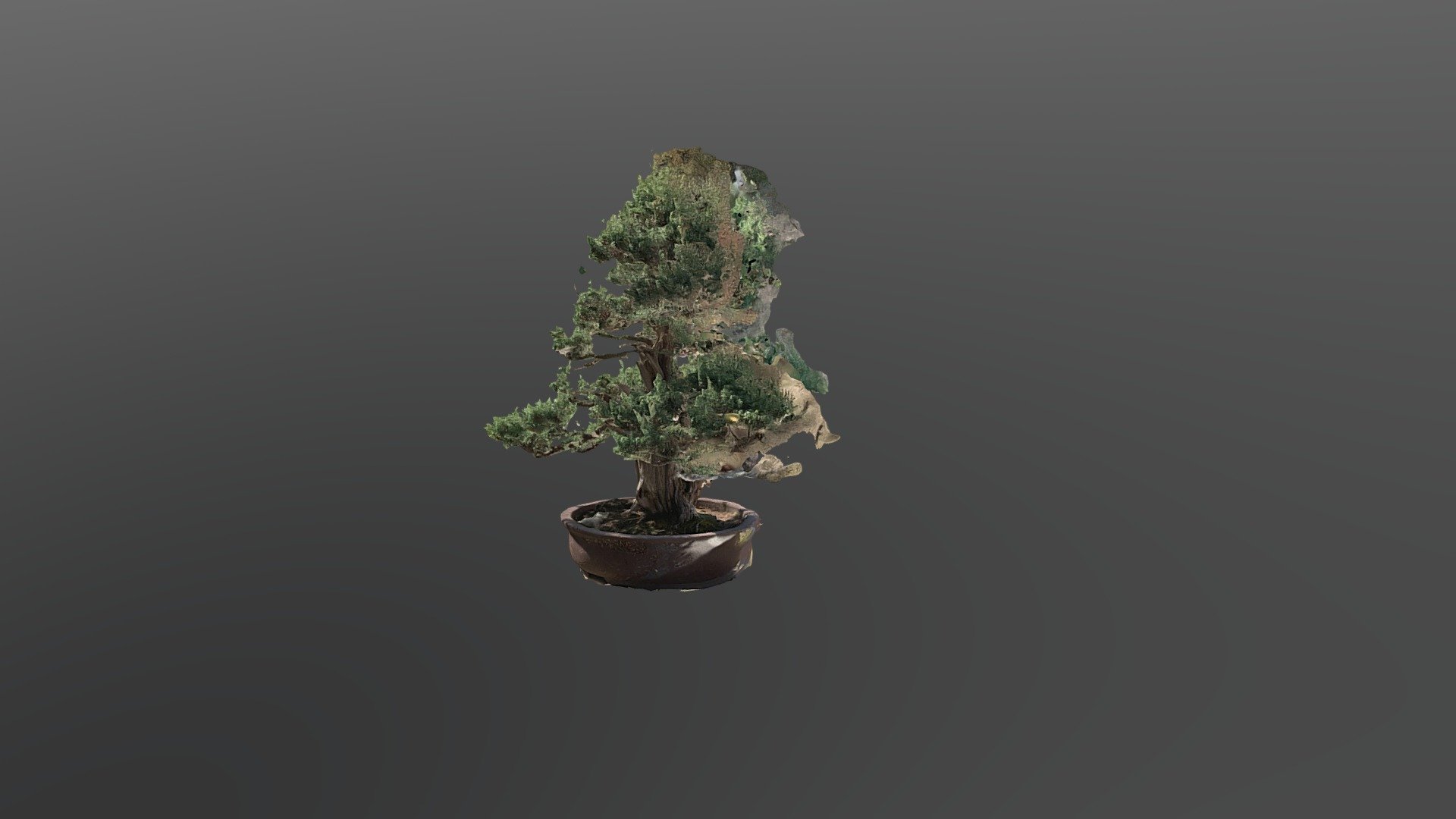 Penjing in the Humble Administrator's Garden