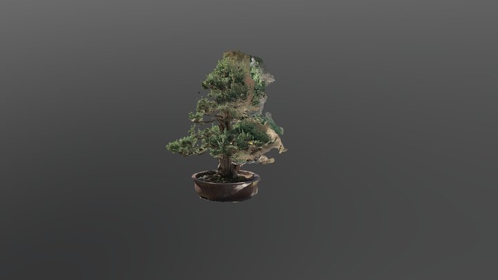 Penjing in the Humble Administrator's Garden 3D Model