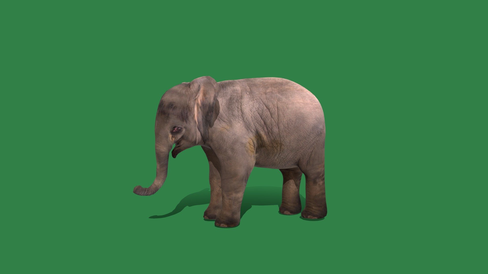 ArtStation - Baby Elephant Calf