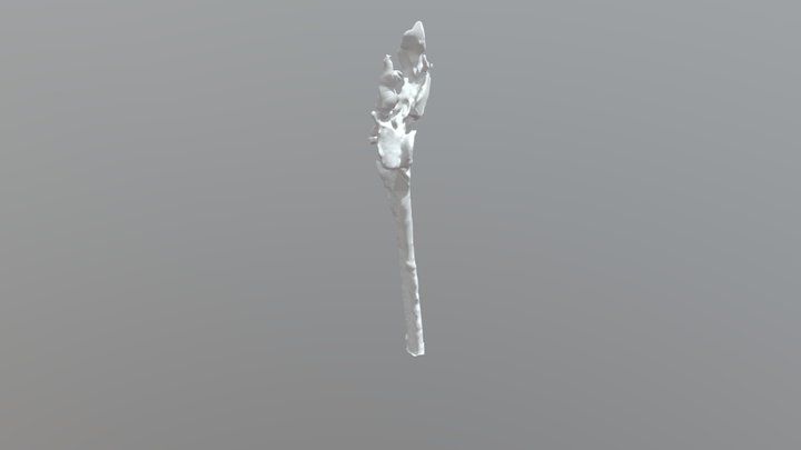 Druid Staff / Weird Slingshot 3D Model