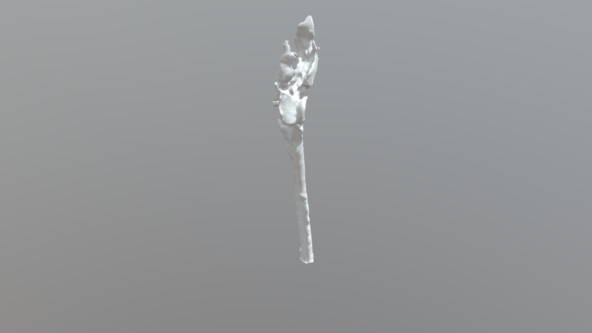 Druid Staff / Weird Slingshot