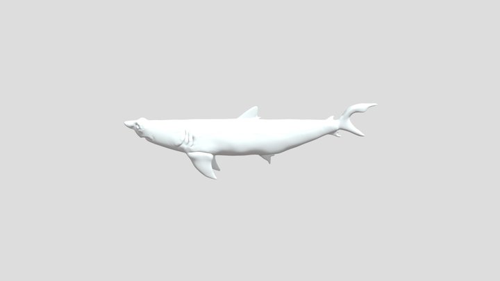 2ndshark 3D Model