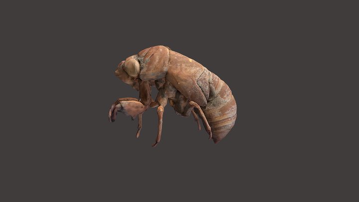 0608-s 3D Model