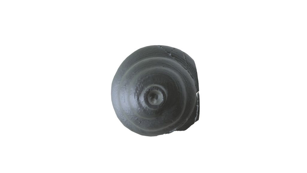HE 12/07