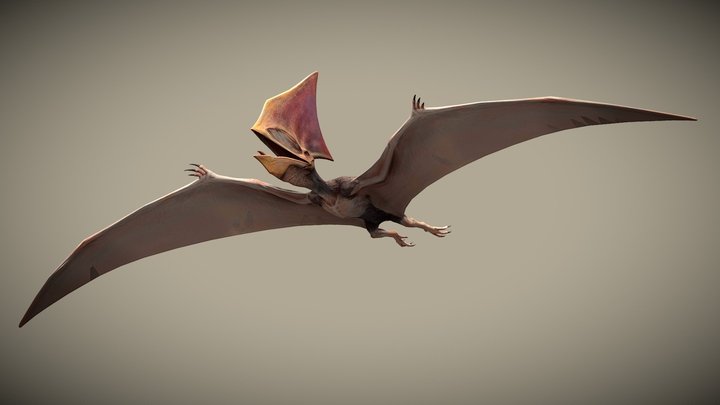 JW: PO Tapejara – Free 3D Model STL