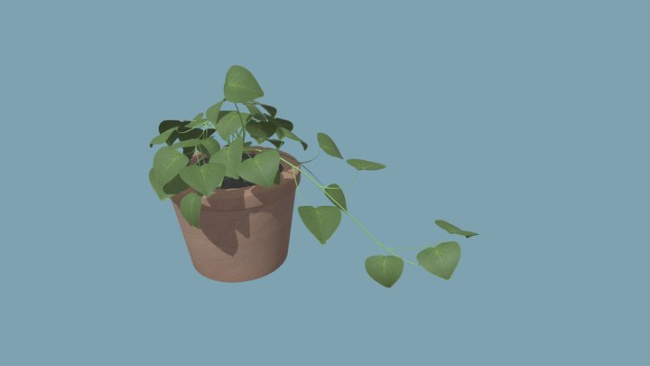House Plant 3D Model