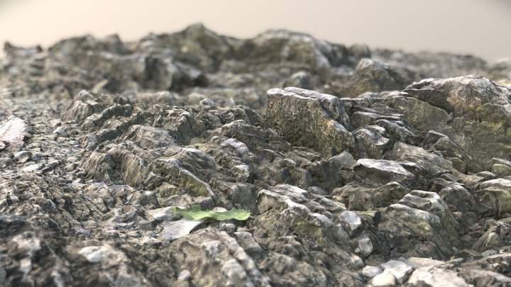 Slate rocks by the shore 3D Model