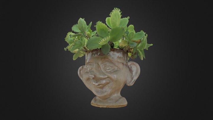 Plant Head 3D Model