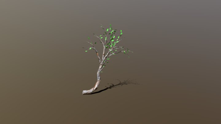Cliff Side Small Tree (LOD) – Modello 3D gratuito STL