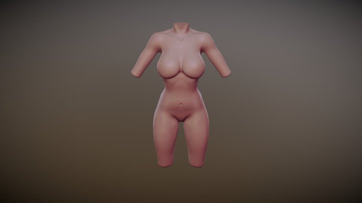 Female Torso 3D Model