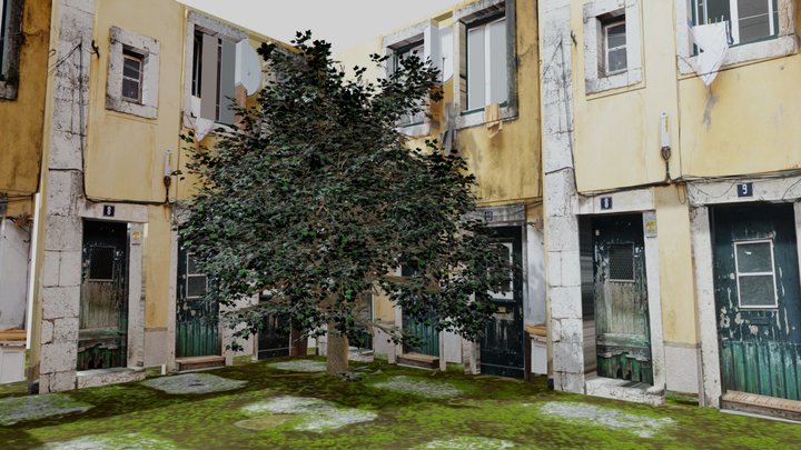 house with tree1 3D Model