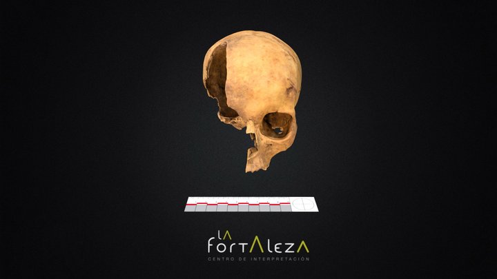 Cráneo La Fortaleza (con trauma) 3D Model