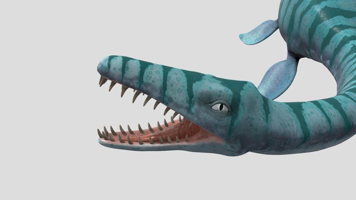 Plesiosaurus 3D Model