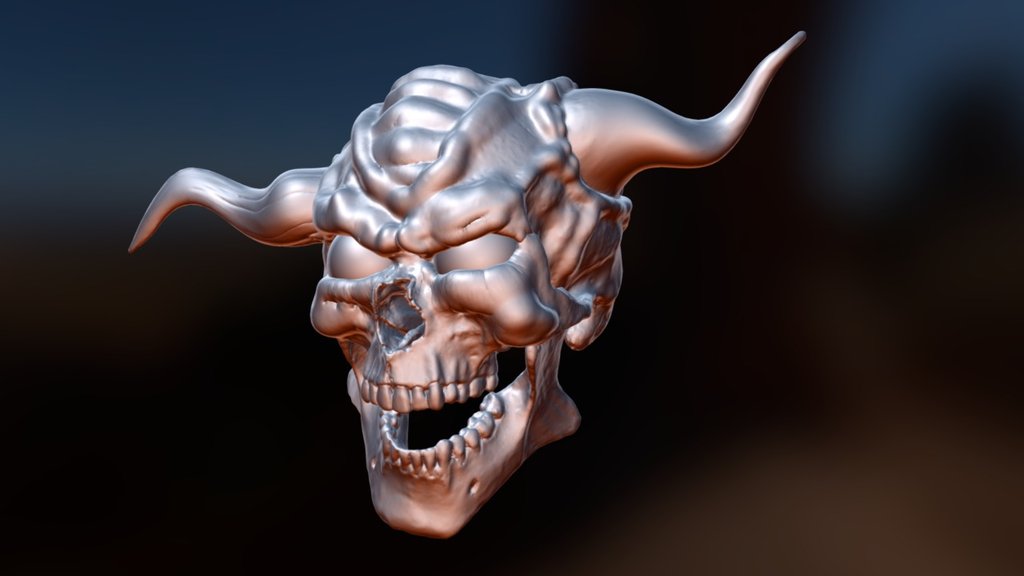 Test 1 - Skull