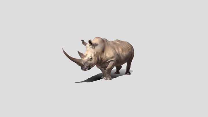 Rhino 3D Model Free – Kostenloses 3D-Modell STL
