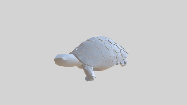 Turtle 3D Model