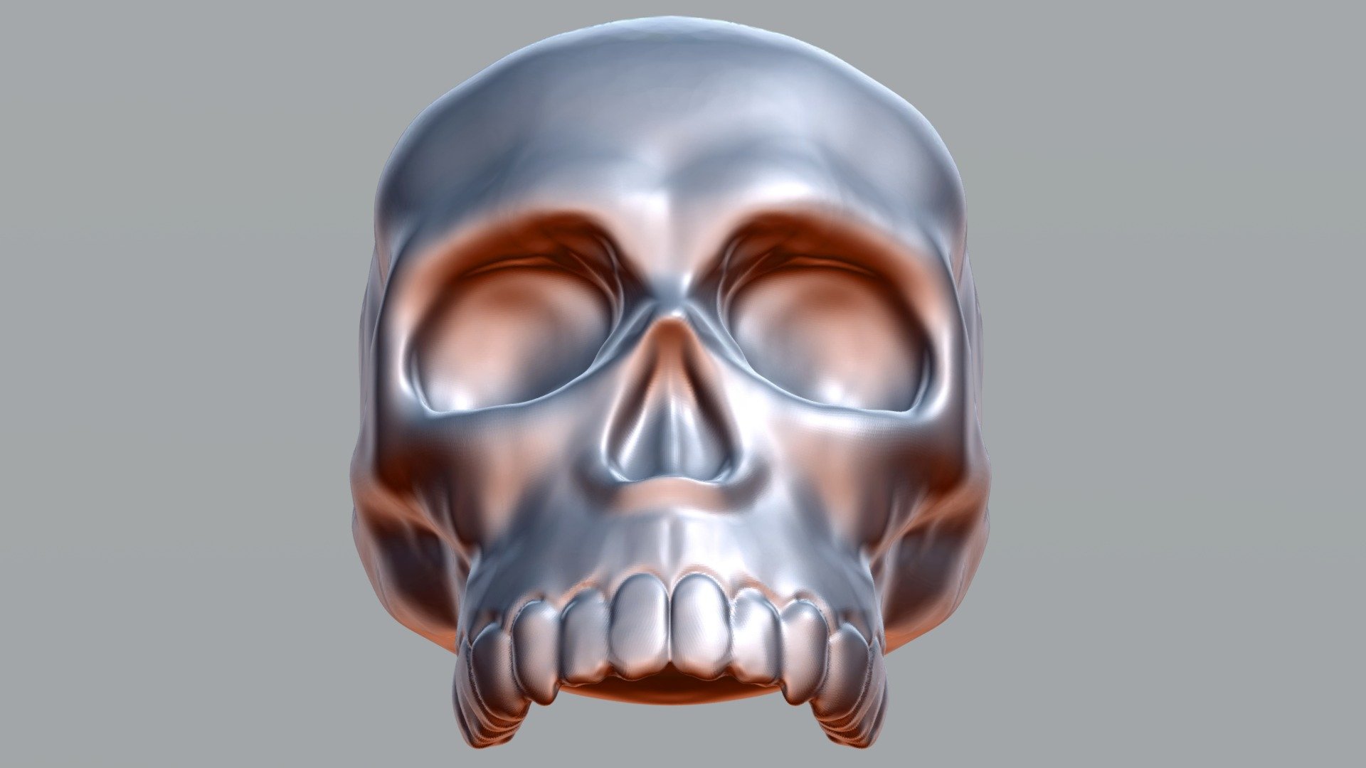 Test Skull Sculpt