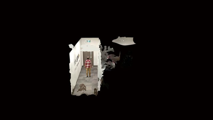 Polycam capture 3D Model
