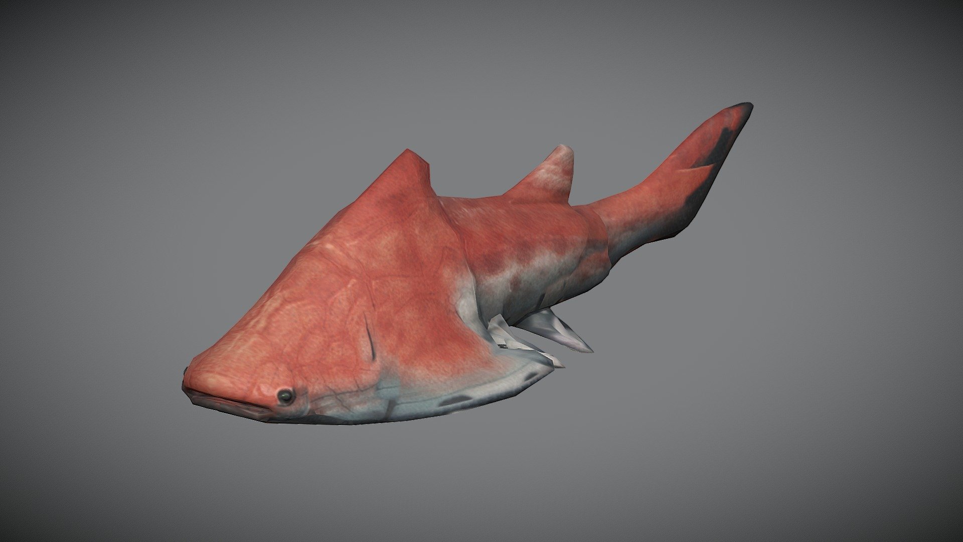 Groenlandaspis - Download Free 3D model by Aleksey Grishchenko (@eggnot ...