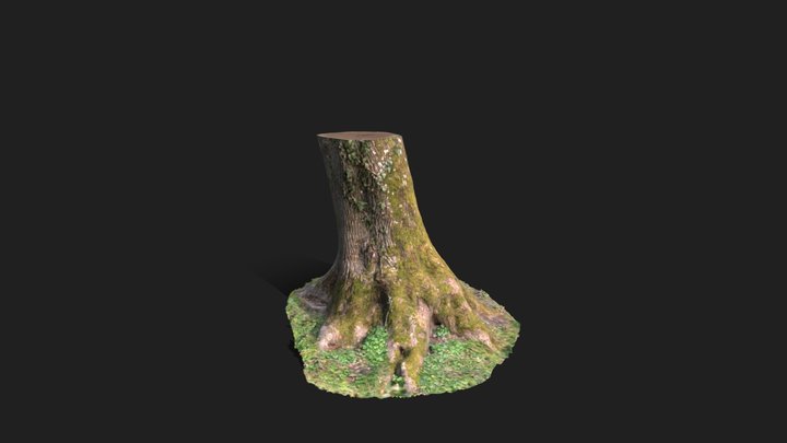 Scan tree 3D Model