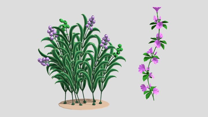 Jungle plants and flowers 3D Model