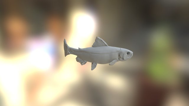 Fish 3D Model