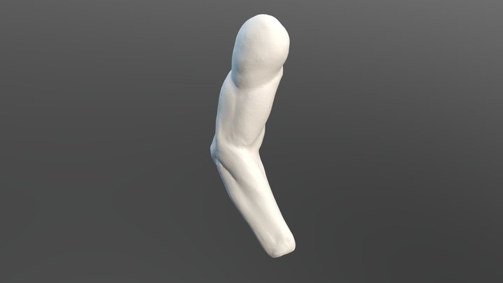 Arm Study 3D Model