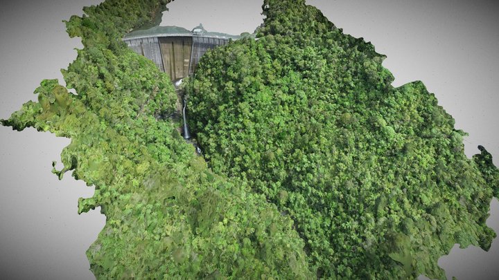 Upper_Nihotupu_simplified_3d_mesh 3D Model