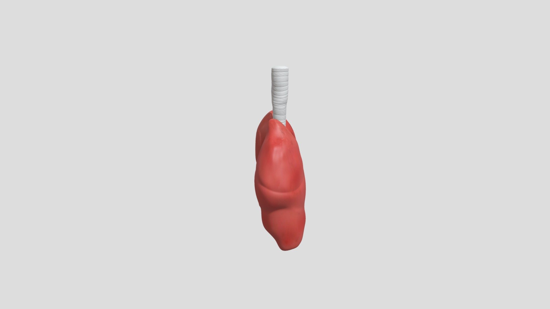 Laboratório do Câncer - Pulmão | Estágio 2 — Sketchfab embed 3D viewer