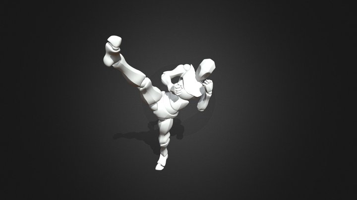 Taekwondo Kick Pack 3D Model