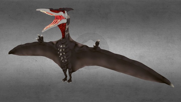 Sketchfab