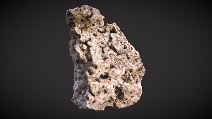 Piedra Volcánica 3D Model