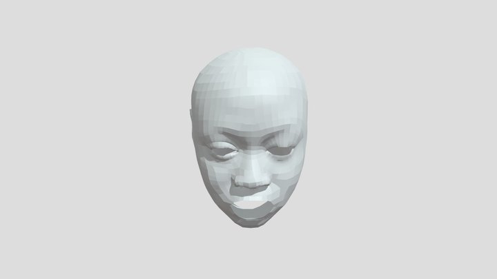 Face Retopolgize 3D Model