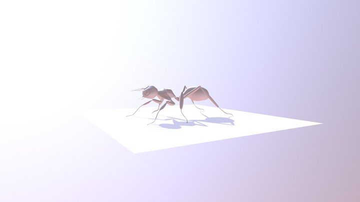 Fourmi 3D Model