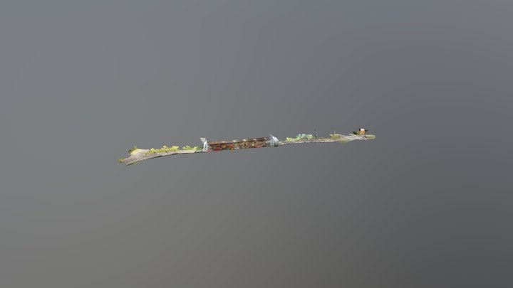 WSM Sainsbury’s tunnel and walkway 3D Model