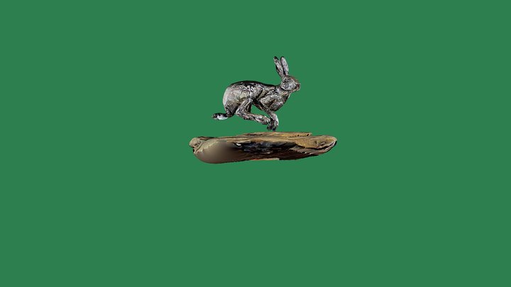 Hare running 3D Model