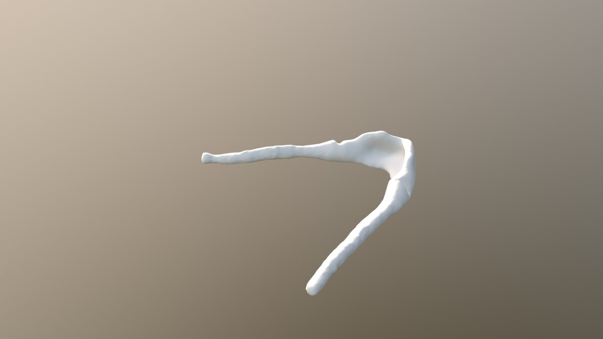 Lar Gibbon Hyoid