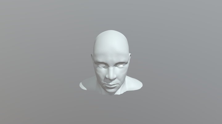 Male Head Anatomy 3D Model