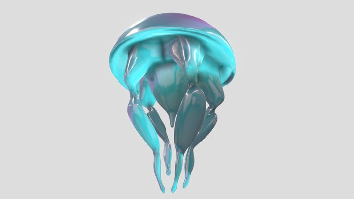 Meduza 3D Model