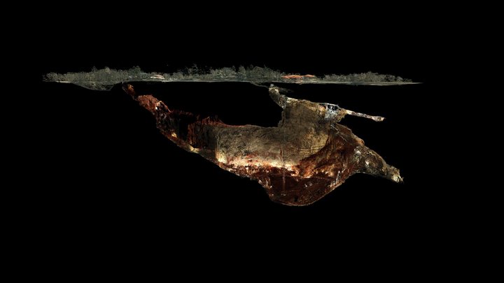 Grotta Gigante  - TLS, Cross-sectional view 3D Model