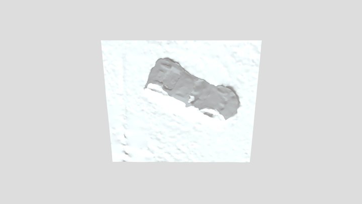 Scaniverse Model 3D Model