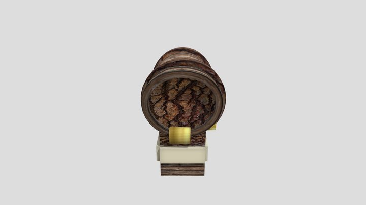 SchatkistDV 3D Model